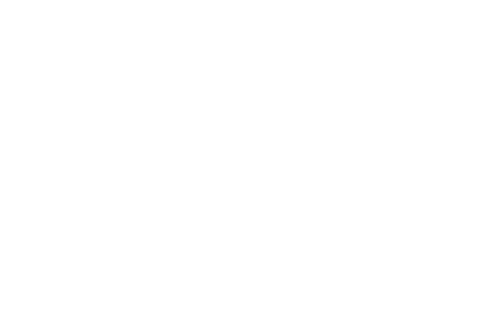 Terra Studio